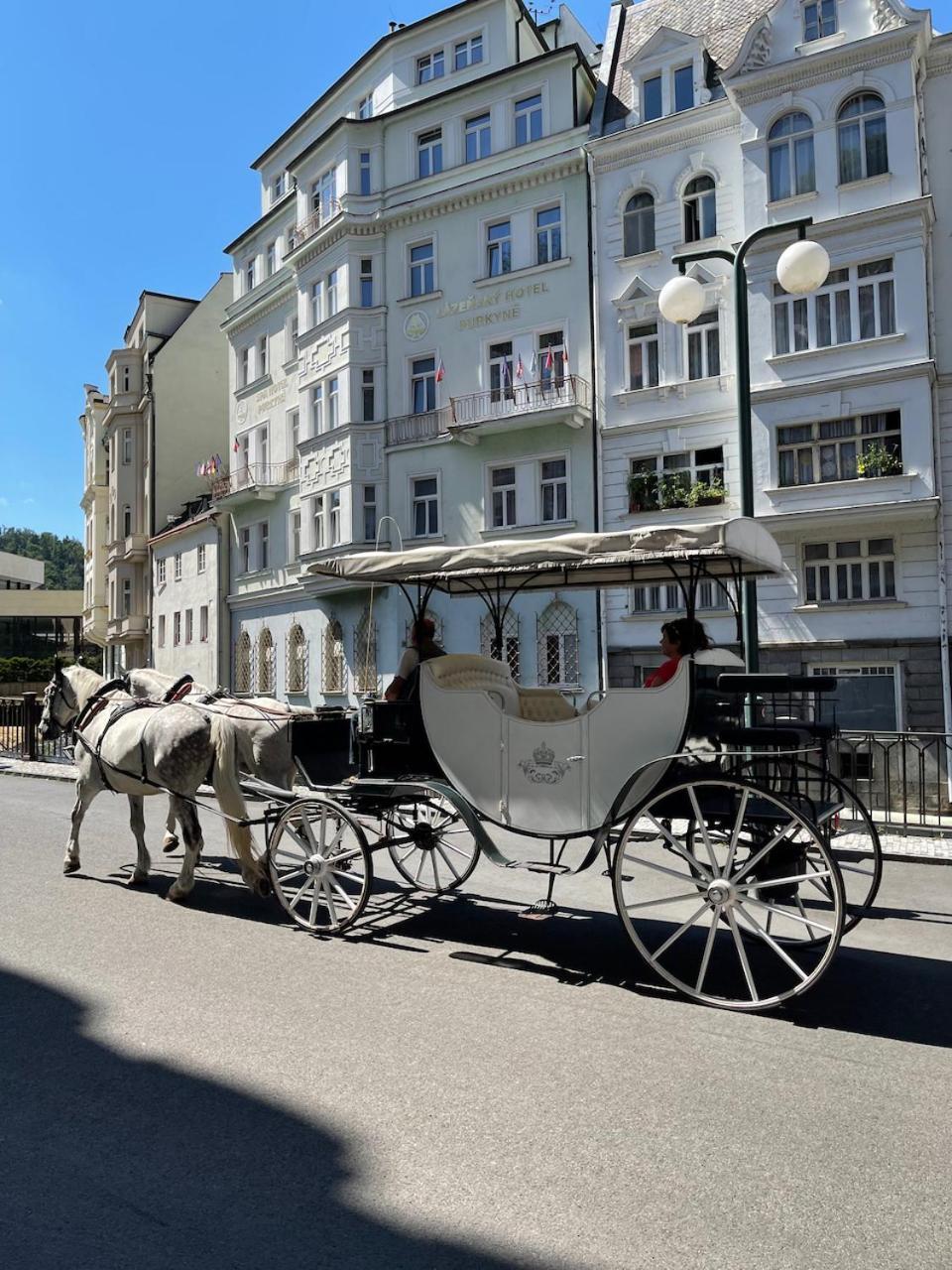 Maisonette With Garden Karlovy Vary