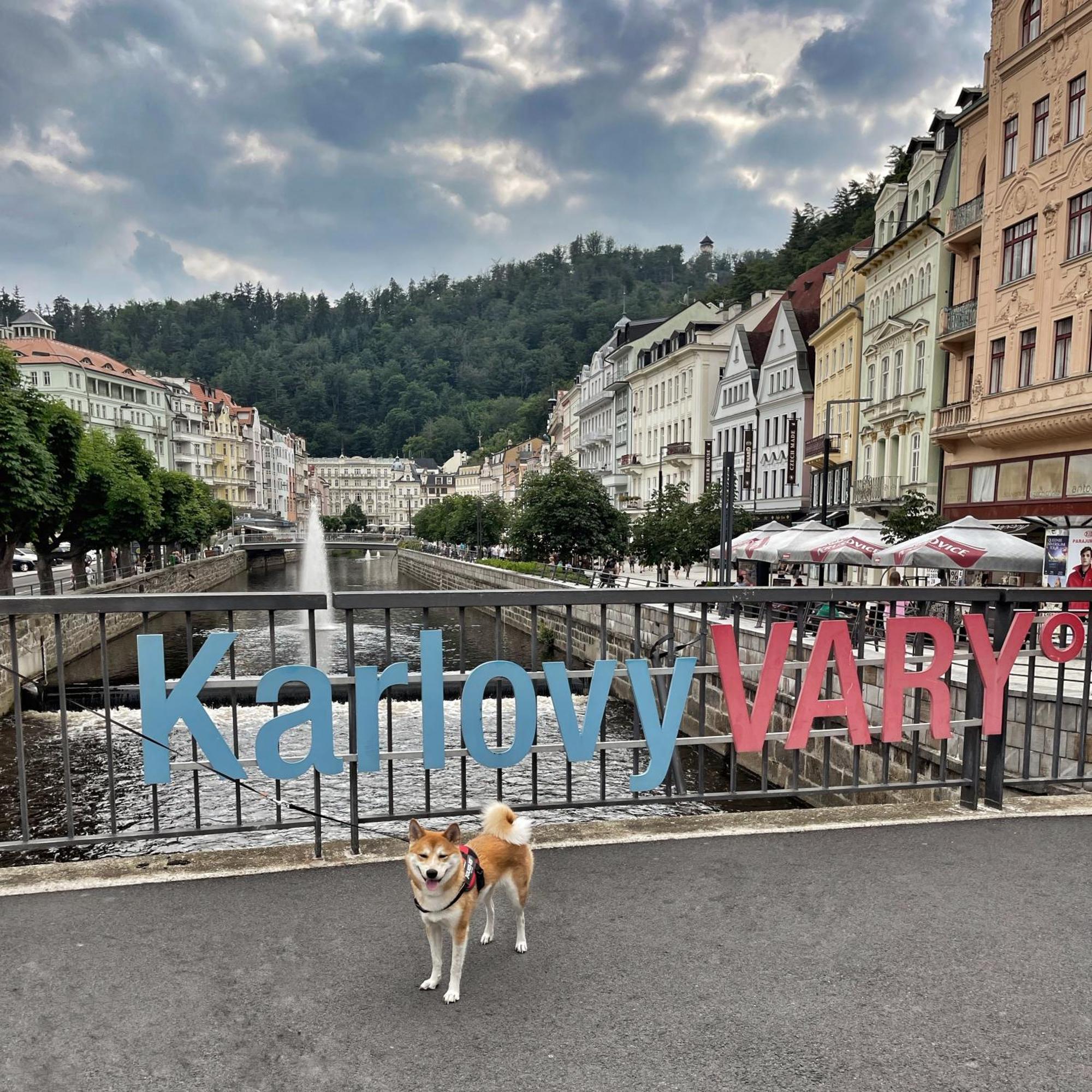 Maisonette With Garden Apartamento Karlovy Vary