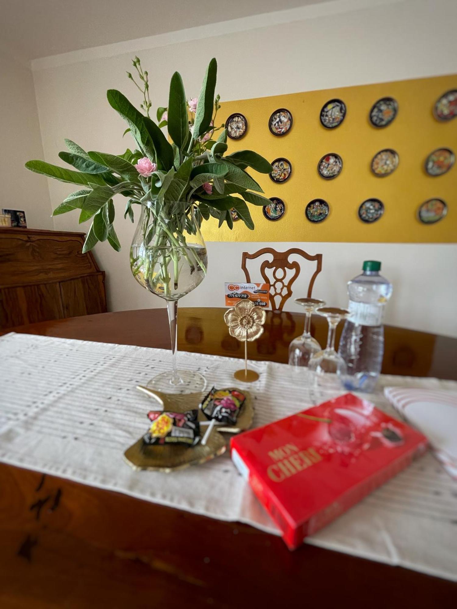 Maisonette With Garden * Karlovy Vary
